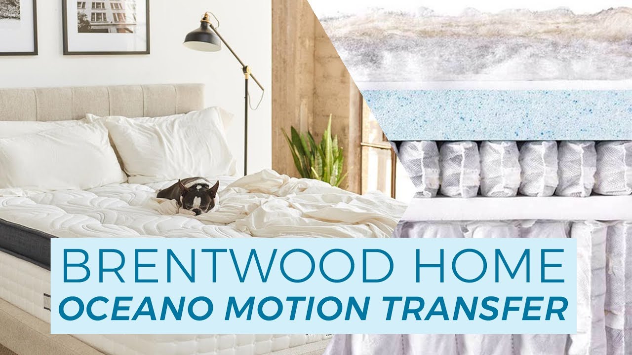 Brentwood Home Oceano Unboxing