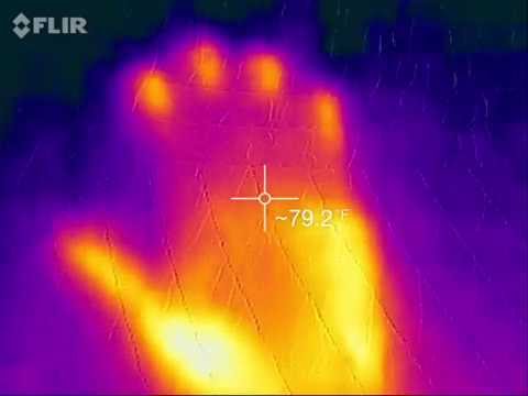 Nolah Evolution overview
