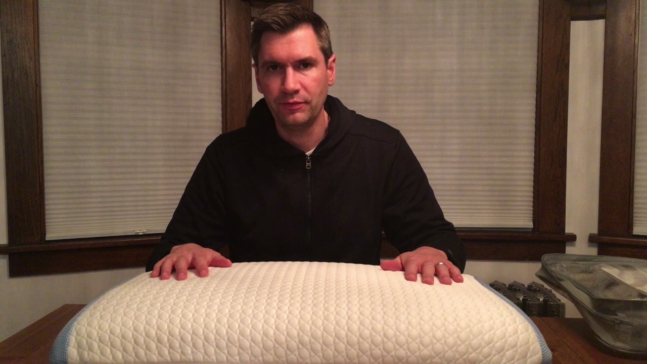 Bear Pillow Review