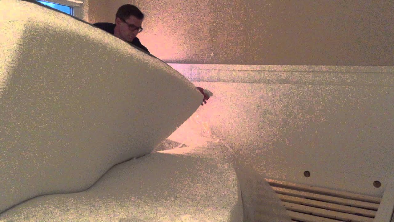 Bear Original video 3