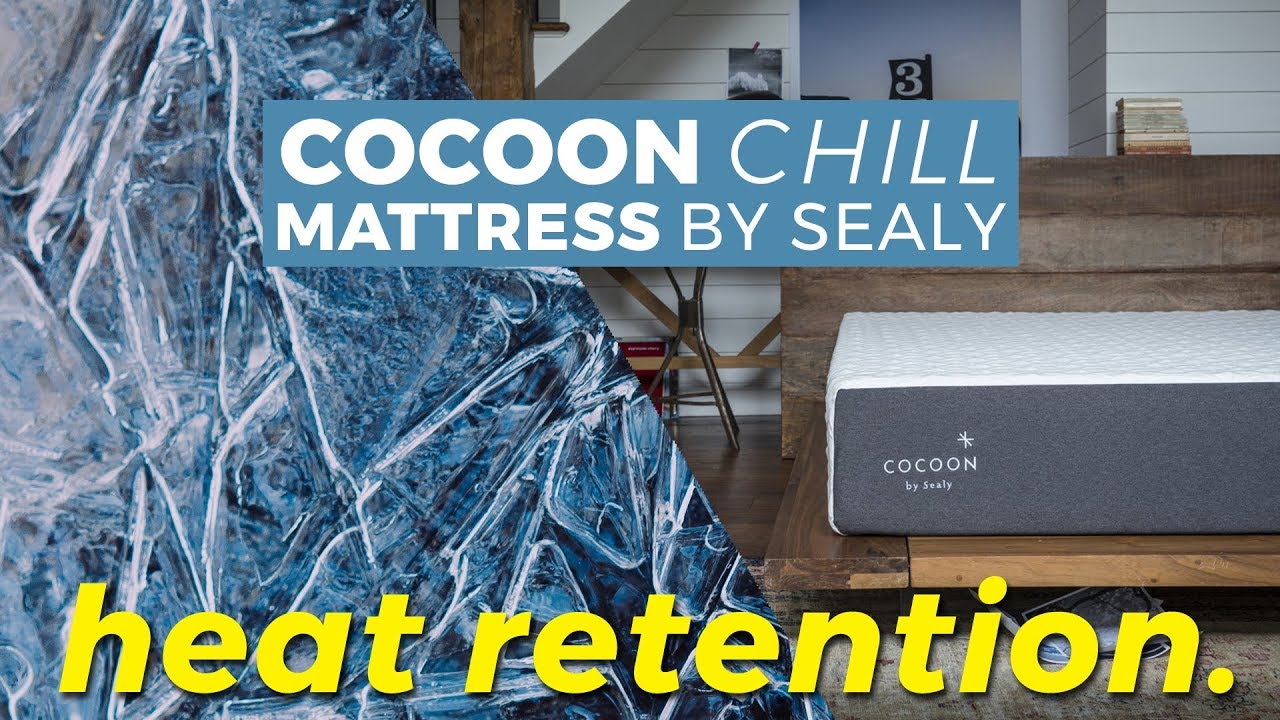 Cocoon Hybrid overview and feel