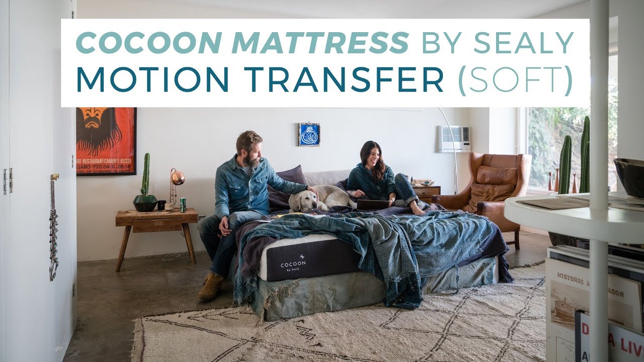 Cocoon soft versus firm comparison