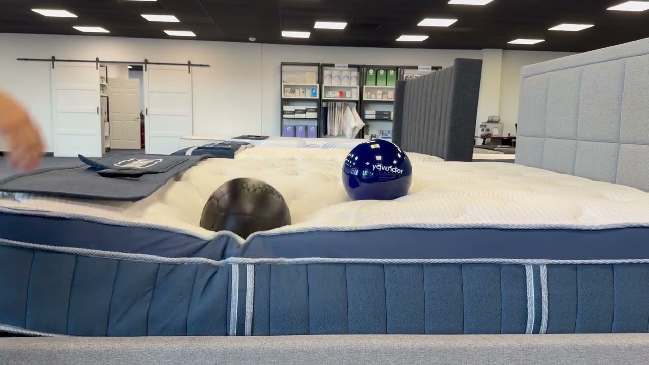 Bear Elite Hybrid (Medium) — Bounce test video