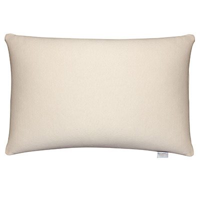 Bucky 2024 buckwheat pillow