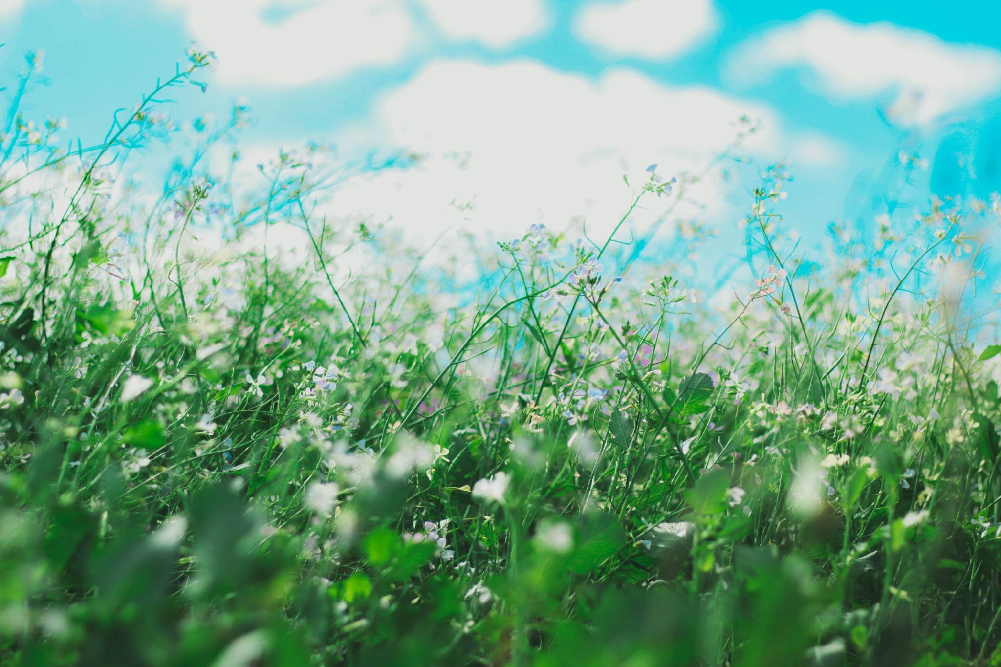 Allergies and Sleep