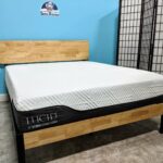 Lucid 12 Inch Hybrid