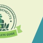 cbd oil benefits