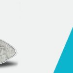 XOcomfort Pillow Review