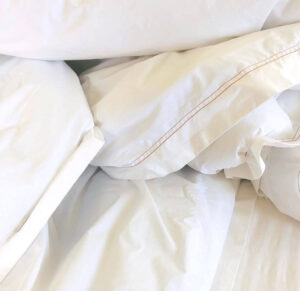 Alterra Pure Sheets