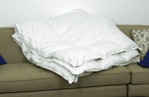 Pacific coast feather down 2024 comforter