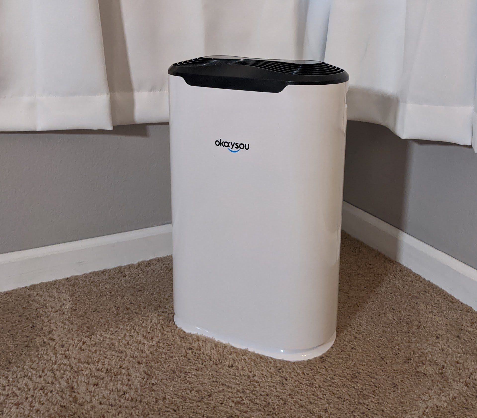 Okaysou airmax8l deals air purifier review