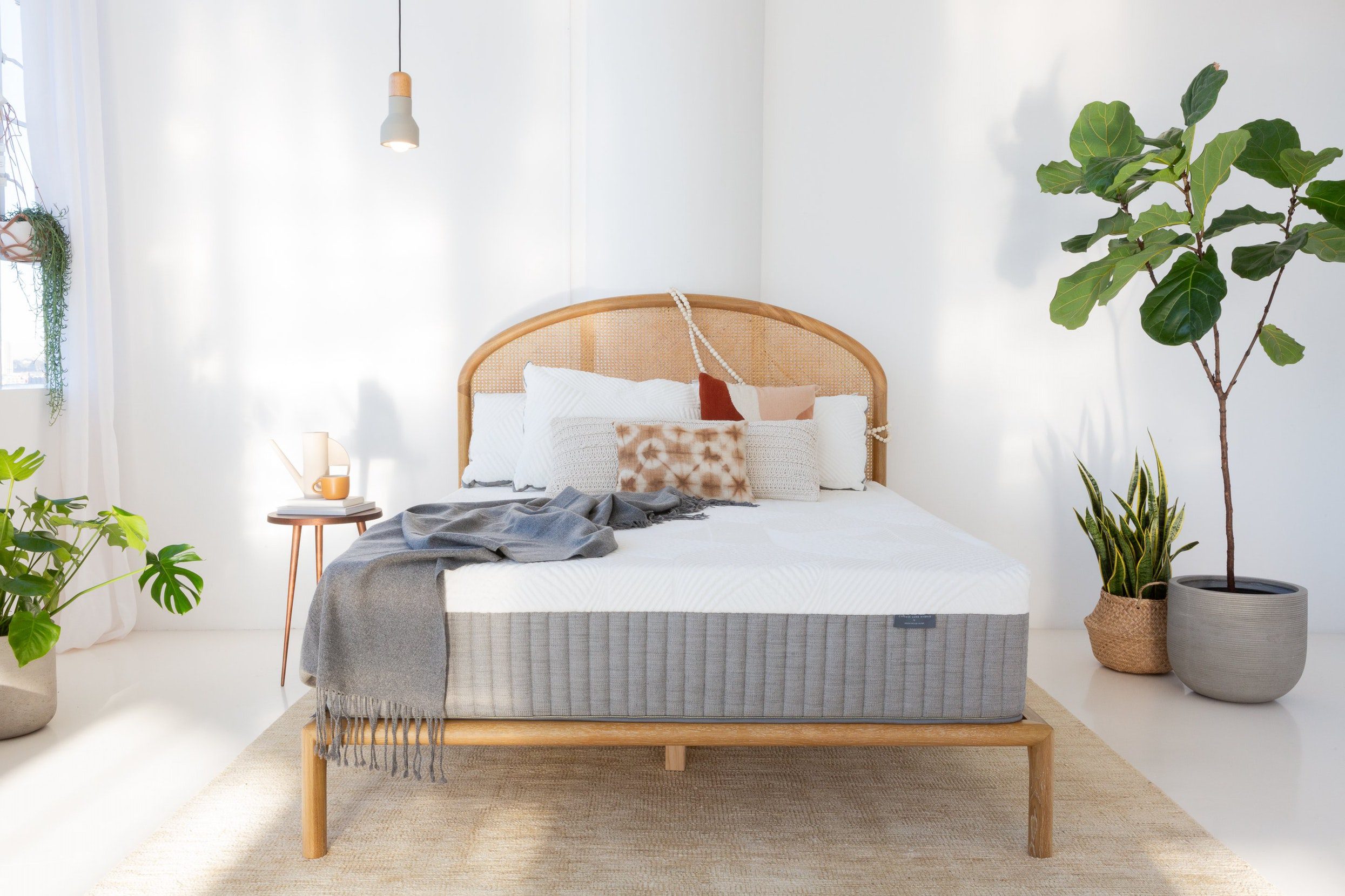 brentwood cypress mattress
