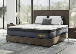 Nolah Evolution Mattress