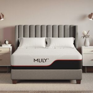 Mlily Dream