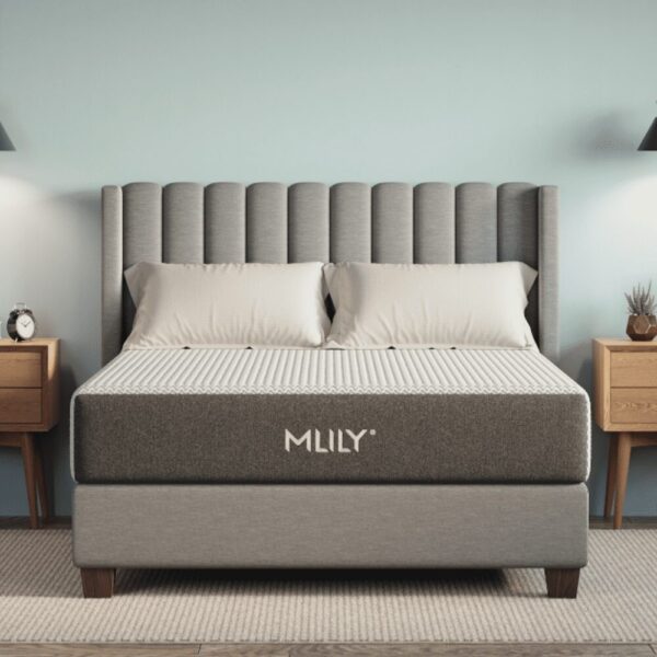 Mlily Fusion Ortho
