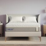 Mlily WellFlex 1.0