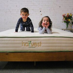 Harvest Green Mattress