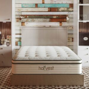 Harvest Pillow Top