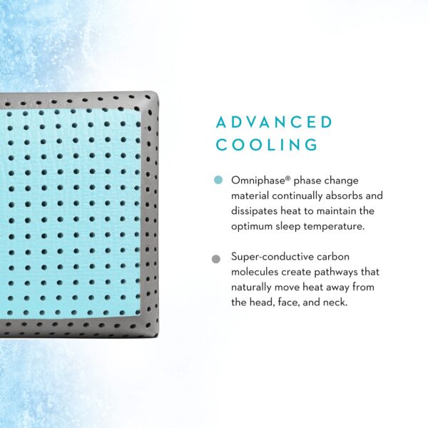 CarbonCoolLT infographic2 WB1565034887 original