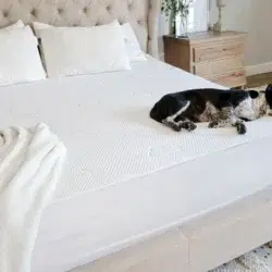 Puffy Mattress Protector