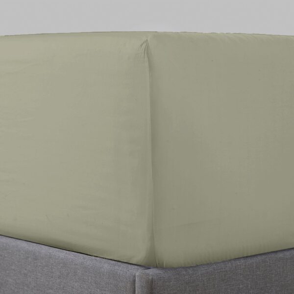 fitted sheet