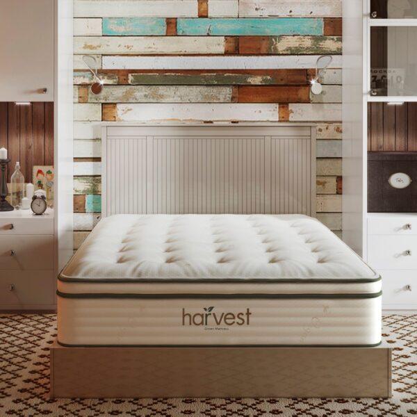 HarvestGreenPillowTopRoomScene12048x2048 9d89bdb9 f061 4426 ba8f