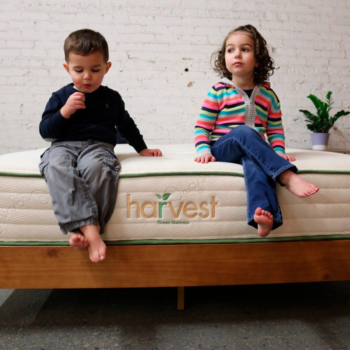 Two young children sit on a Harvest-brand mattress against a white brick wall. The boy on the left, wearing a dark long-sleeve shirt and gray pants, looks down with a finger near his mouth. The girl on the right, in a colorful striped hoodie and blue jeans, gazes upward. A potted plant is in the background.