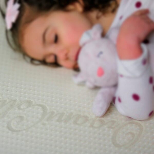 HarvestOrganicCottonCoverCloseupProductImage2048x2048 e51a5c99 0a8f 49f0 992c