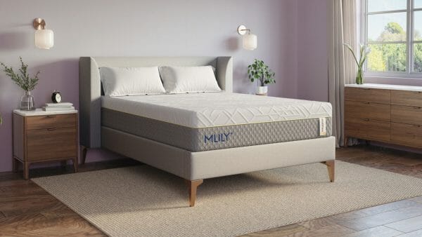 WellFlex 1.0 02 scaled e1668632158610
