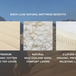 birch luxe