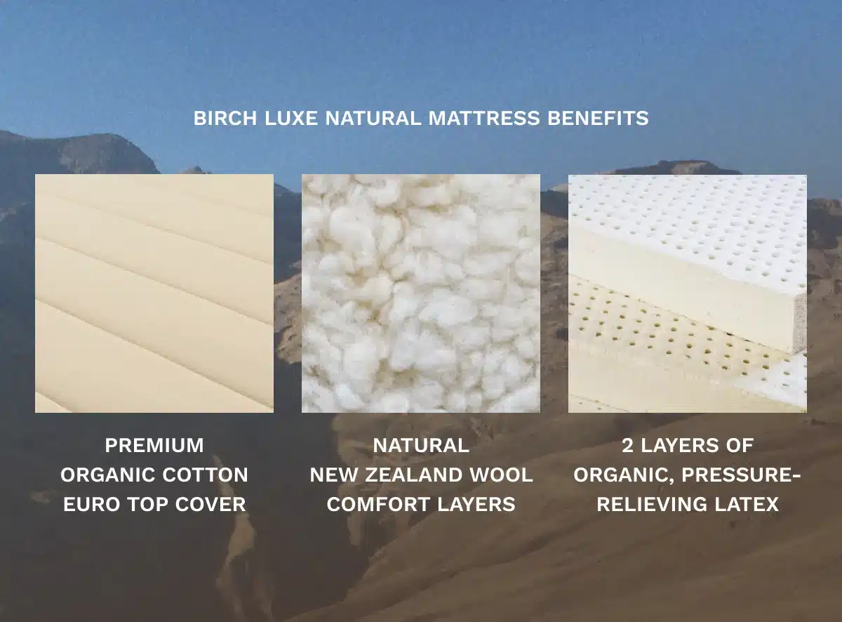 birch luxe