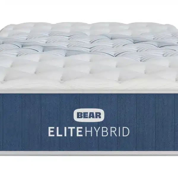 bear elite hybrid