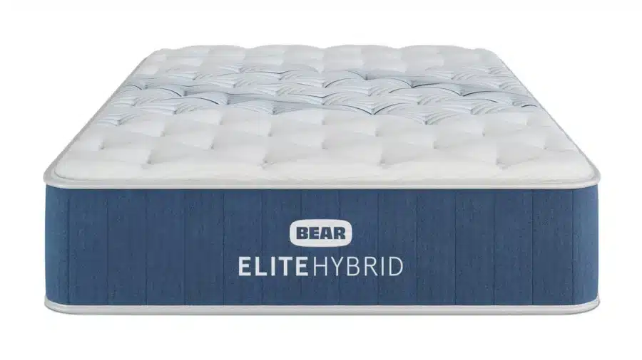 bear elite hybrid