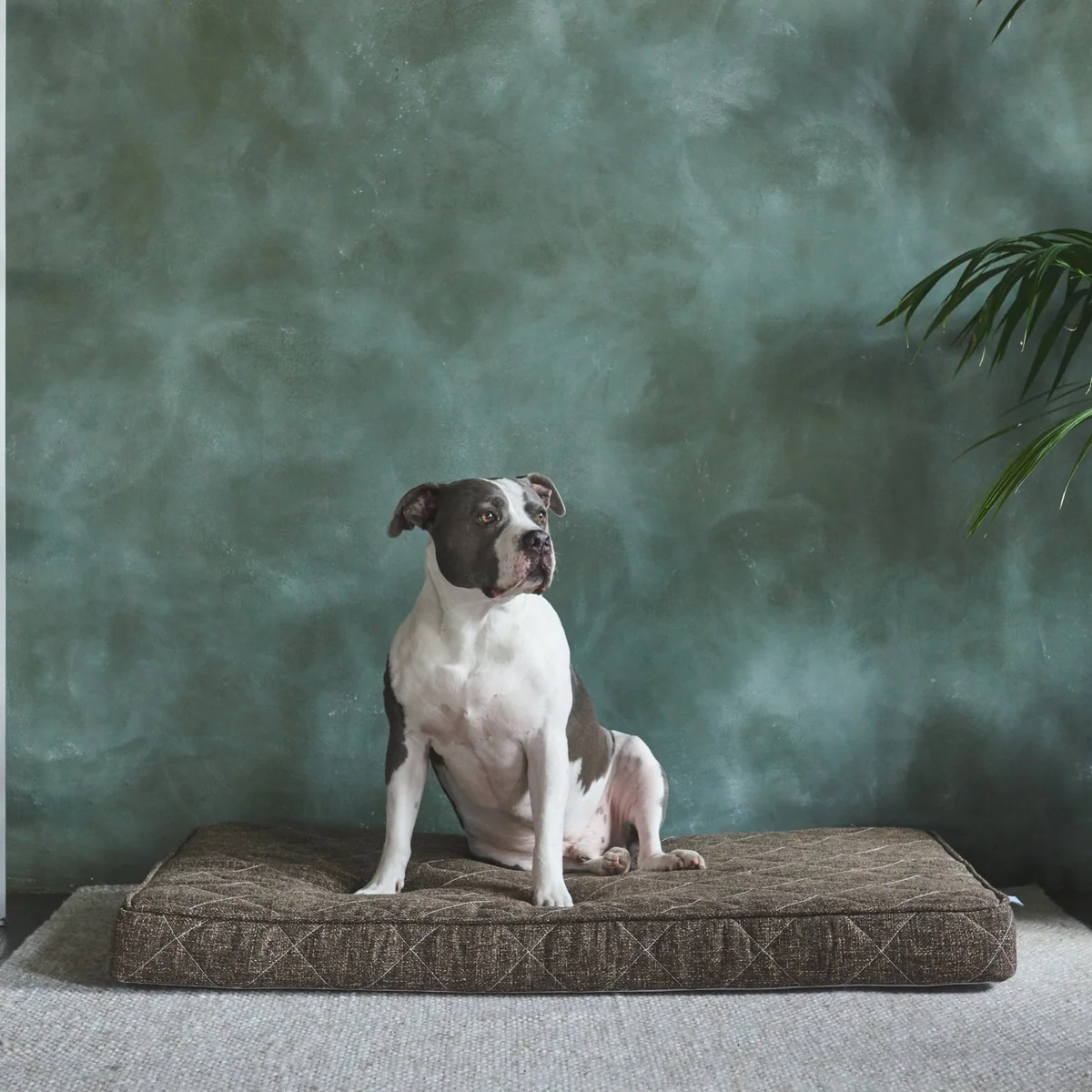 Brentwood Home® Dog Bed