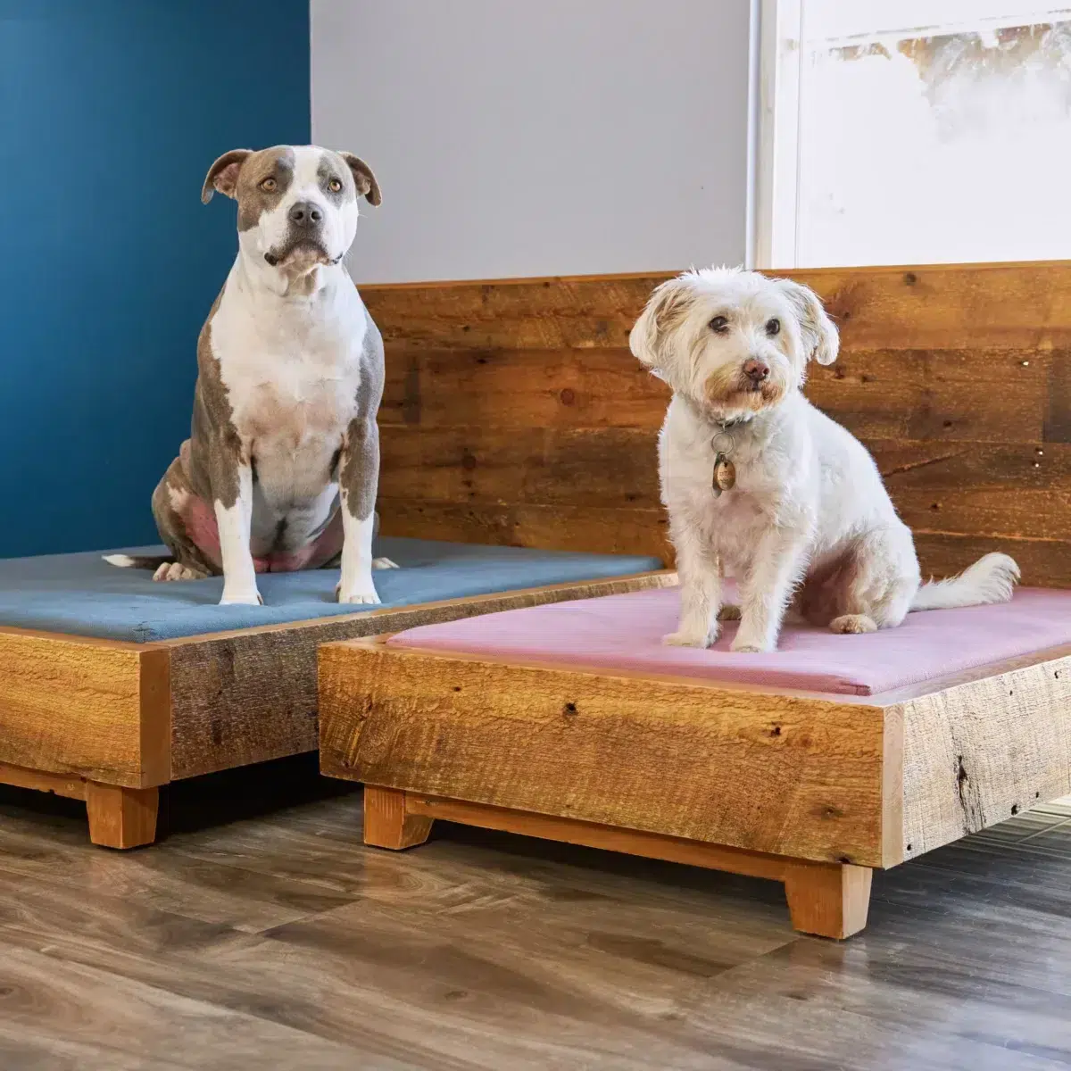 avocado dog bed