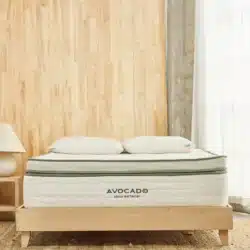 Avocado Plush