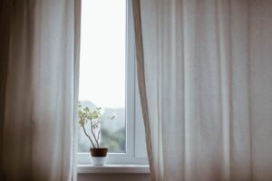 A potted plant is on a windowsill framed by partially opened beige curtains. Soft natural light filters through the window, giving the scene a calm and serene atmosphere.