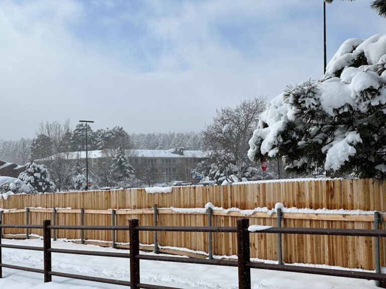 a fence and trees covered in snow