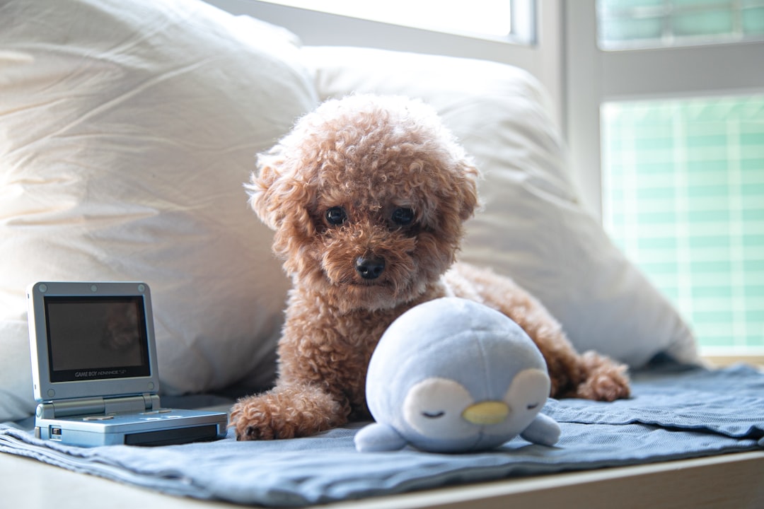 a dog sitting on a bed next to a stuffed animal