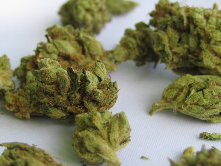 Close-up photograph of several green, dried cannabis buds scattered on a white surface. The buds are densely packed with visible trichomes and small orange hairs, displaying varying shades of green and a slightly frosty appearance.