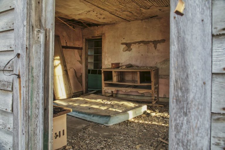 A dilapidated room with a damaged ceiling and peeling walls. An old mattress lies on the floor surrounded by debris. A wooden table with shelves and a few scattered items is against the wall, and a weathered doorway frames the scene.