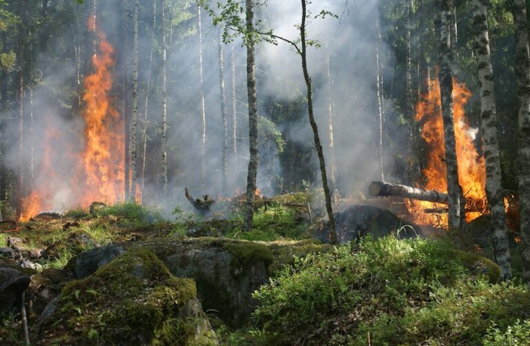 Benefits of a Wool Blanket during wildfire