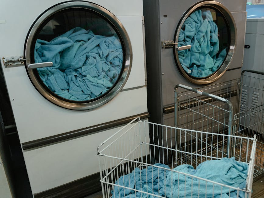 Best Laundry Services Ranked