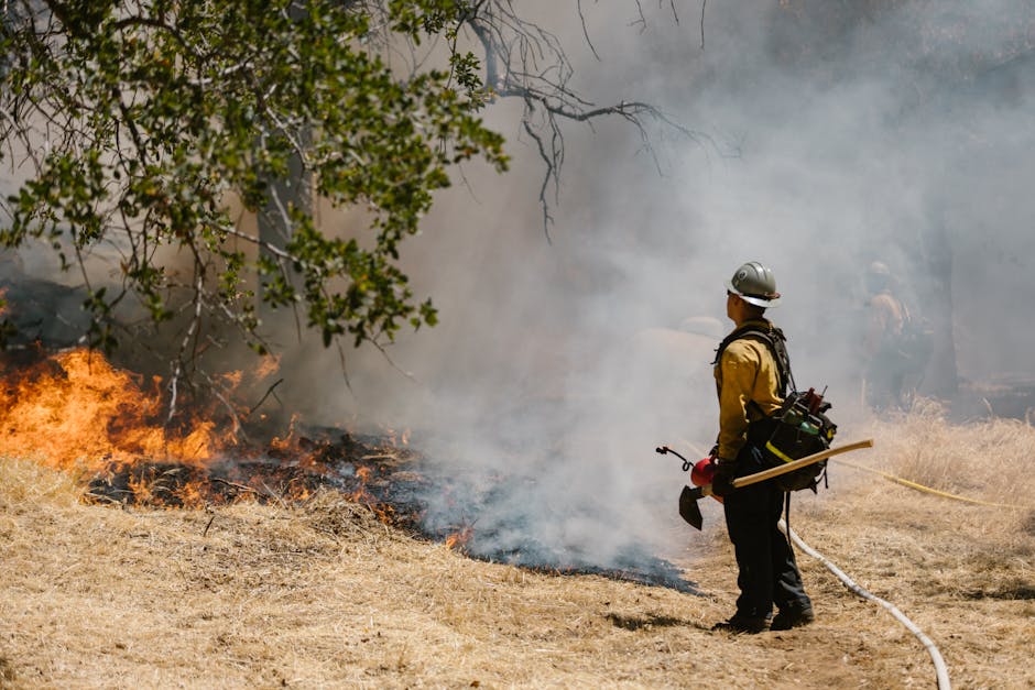 How to use your pool to protect your house during wildfire