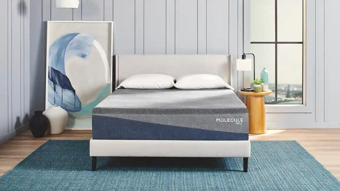 Molecule mattress models compared