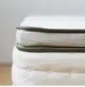 avocado vegan pillowtop