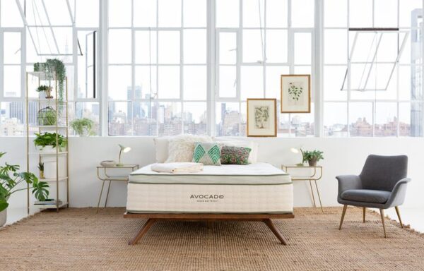 Avocado PIllowtop