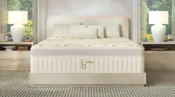 Birch Elite