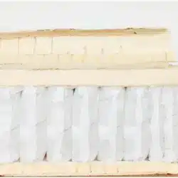 avocado box top