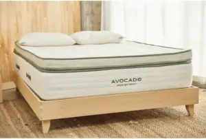 Avocado Green Plush 15.5" Box Top
